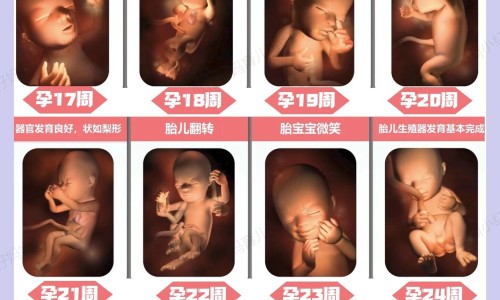 乙肝患者可以吃茄子吗-饼子脸和国字脸区别网 - 电线为什么是两根,建水共享电单车